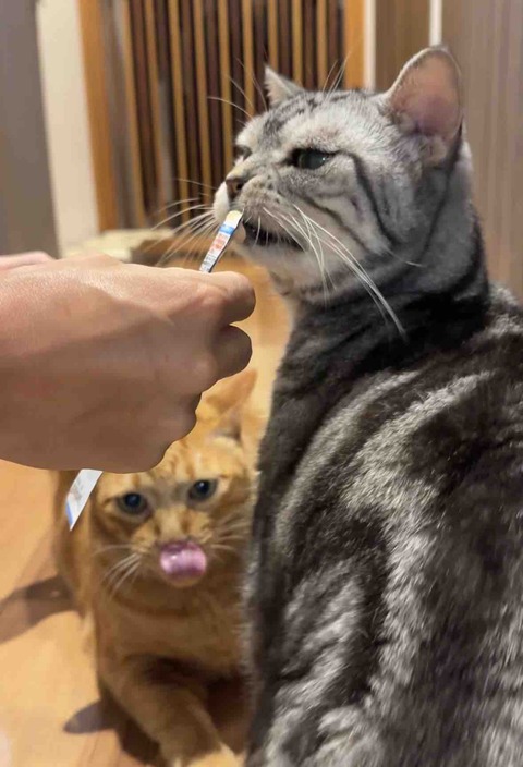 FullSizeRender