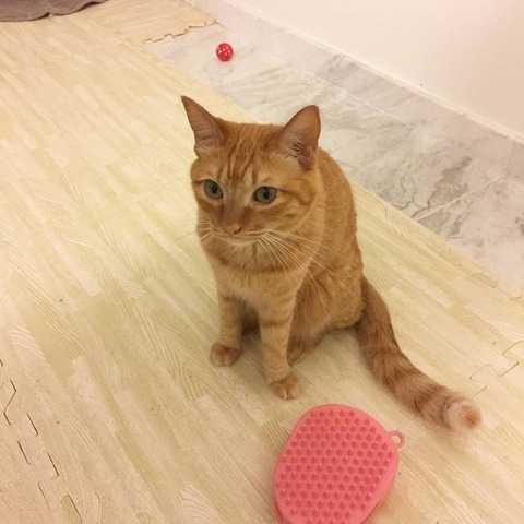 IMG_20180129_093232_865