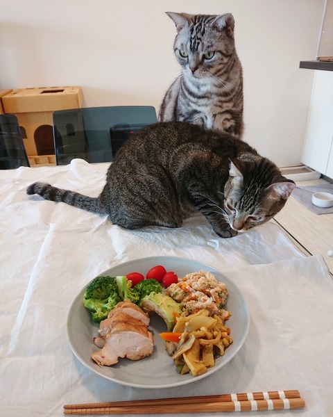 IMG_20190611_171155_715