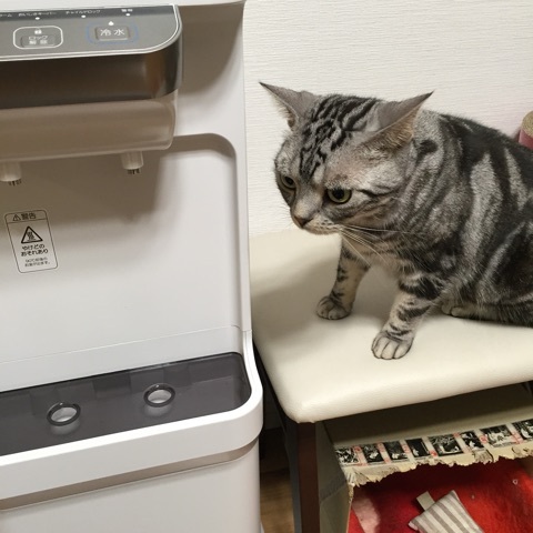 {C4BF8696-71CA-4494-AE8E-C7D07D3368EB:01}