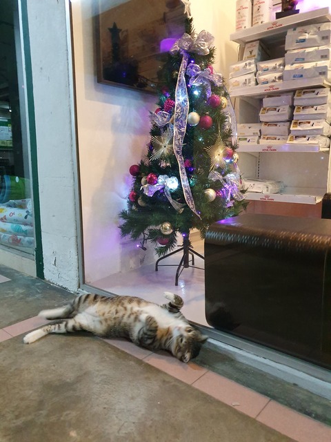 20191211_222836