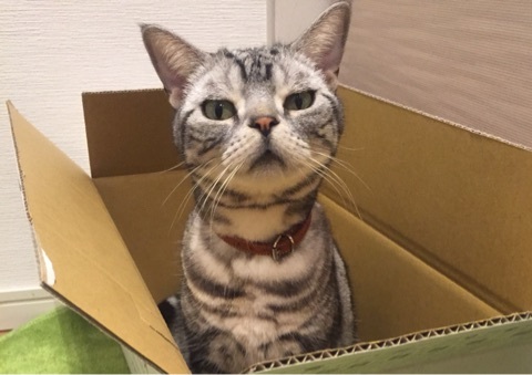 {5F739448-1EFA-446E-80E5-C50E6F260A49:01}