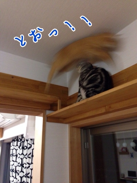 {A12F50A7-31AE-45D3-9536-2016CF084F51:01}