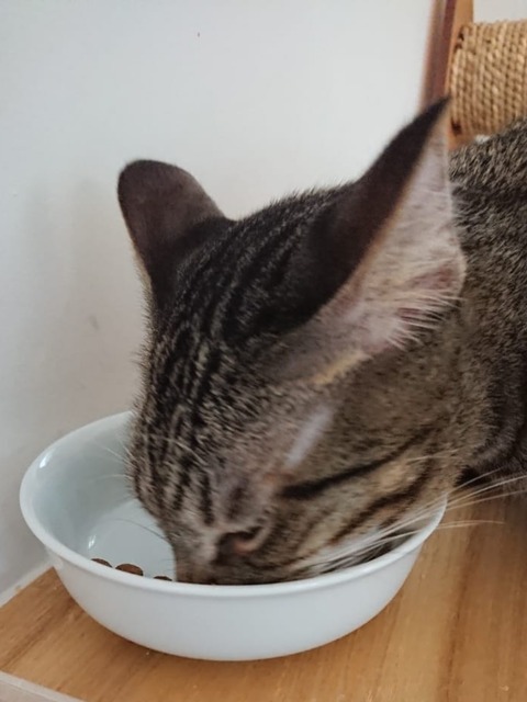 18-11-24-21-11-30-169_deco