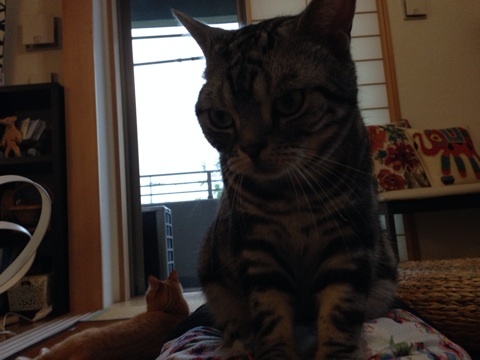 {D9AB607A-AA91-47BD-A287-68B51B70C846:01}