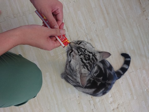 [画像:e3c664b5-s.jpg]