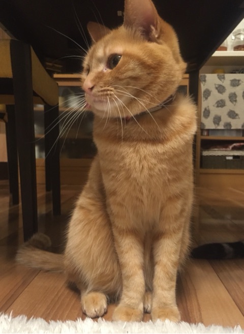 {9C63FB86-CD63-4F13-9F85-F5C86D23D6CB:01}