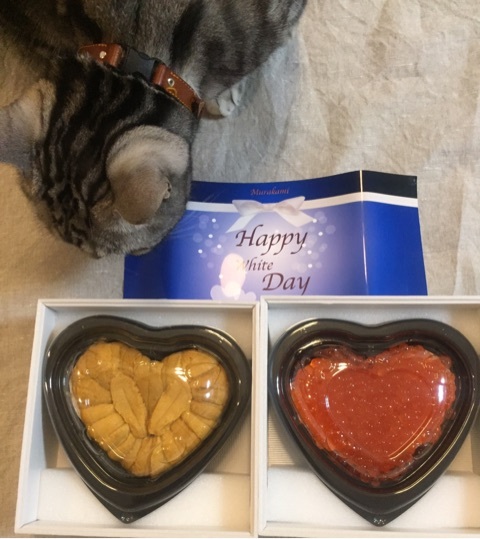 {5DDA1E98-04E8-4C34-841A-9AB09773BA34}