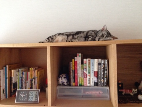 {F2DBE0D0-C1F1-4B17-A0CC-E449117F262A:01}