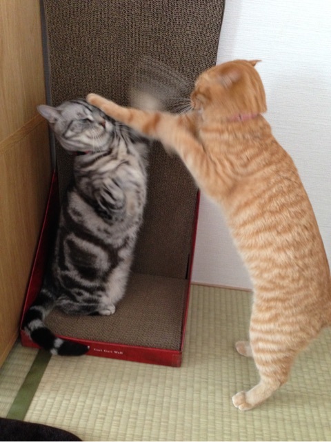 {89980F01-C7C8-450B-99E5-A7D96B19F0EE:01}