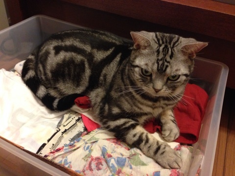 {CE49FAC2-D128-4EC0-B062-2BEC973A429E:01}