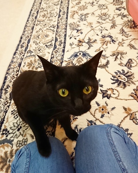 IMG_20190618_145739_419