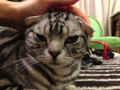photo:04