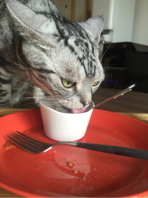 {284EF48D-D43B-41B7-9683-CE105386EE6E:01}