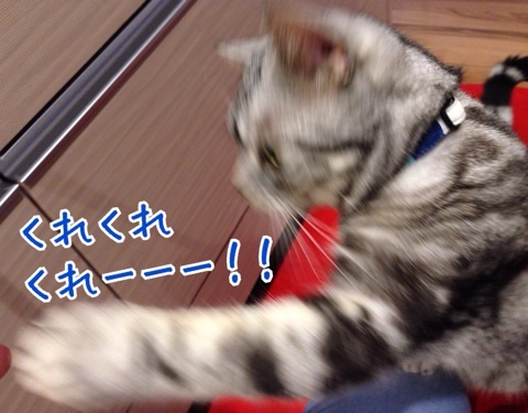 {BFF48761-0EC8-4D5C-89C2-21405FD5E842:01}