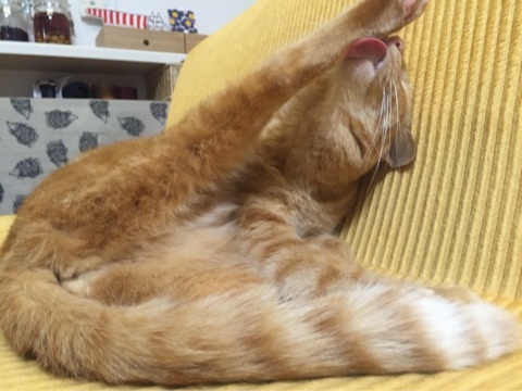 {6B814F0F-60BE-4A6E-A78B-48680C7C8665:01}