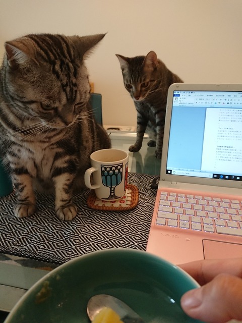 DSCPDC_0000_BURST20190125154708895