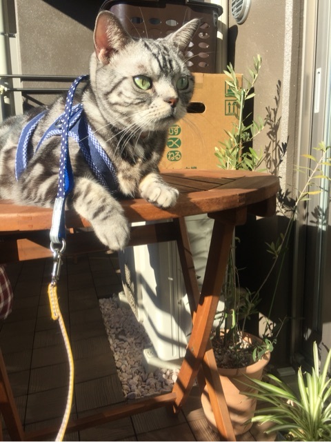 {5FBCA3A9-9D73-4086-871C-85B50FB8E46D:01}