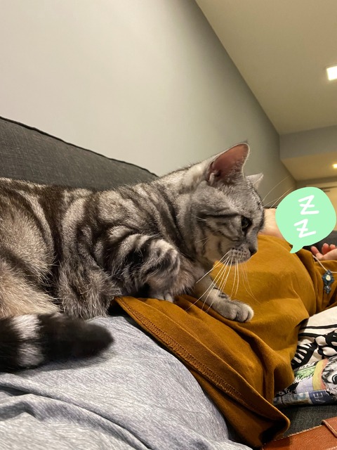 21-11-18-16-11-12-581_deco