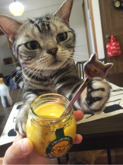 {4848C7A4-0CE5-4820-832B-C64E454693F1:01}