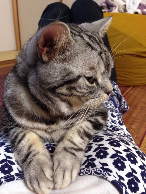 {EC49A91E-90D0-47CF-A562-51D71D2DAA42:01}