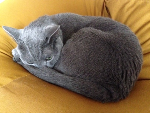 {C8AD10A2-D07F-4F92-B6B9-DBA1878BDEF3:01}