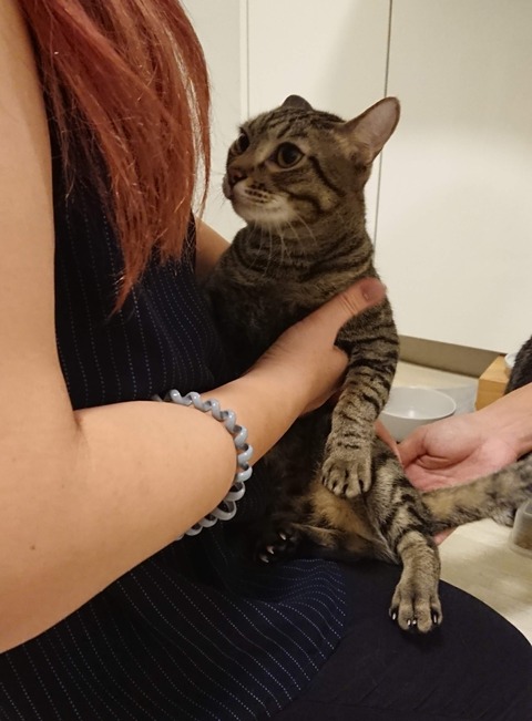 20-02-04-18-41-17-877_deco