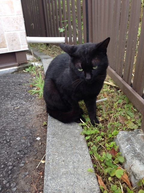 {222E9184-6583-4398-82F6-AFC238A657DB:01}