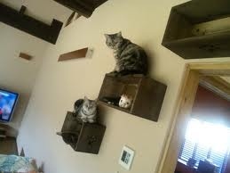 photo:01