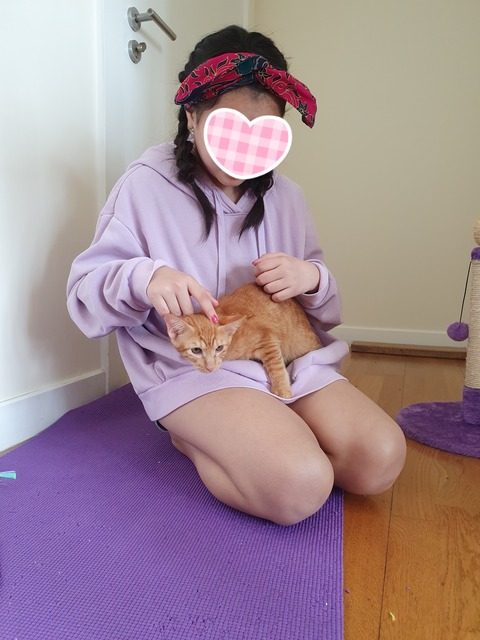 20-07-23-08-08-33-791_deco