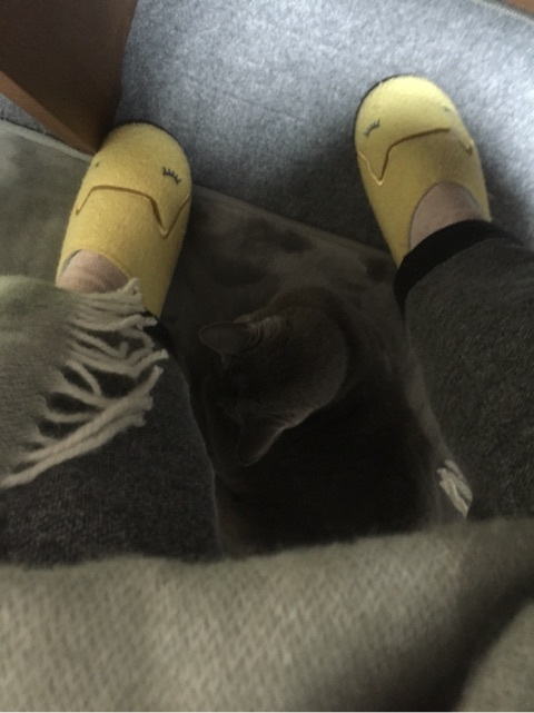 {2A12CE37-A2E6-49AB-BC06-2492C7E4F403:01}