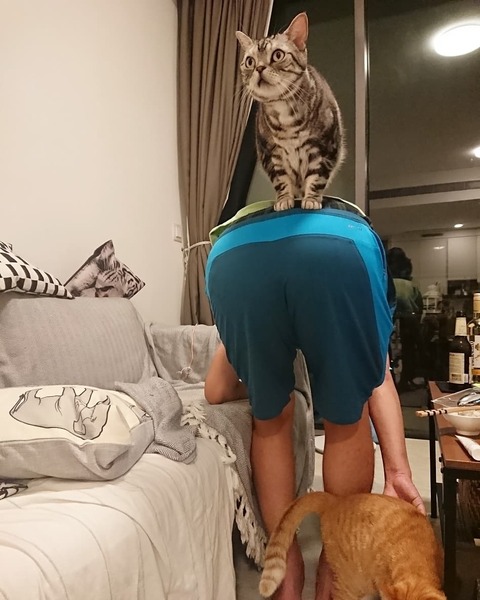 IMG_20190123_073440_981