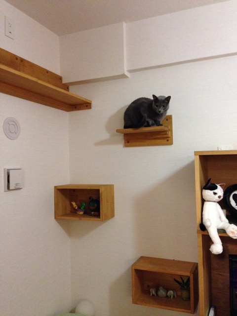 {415C57E9-ECB0-42D1-9D42-DD4B7E989051:01}