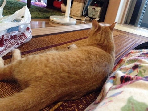 {176253F3-D097-4D69-9A24-2DA2CFDDA705:01}