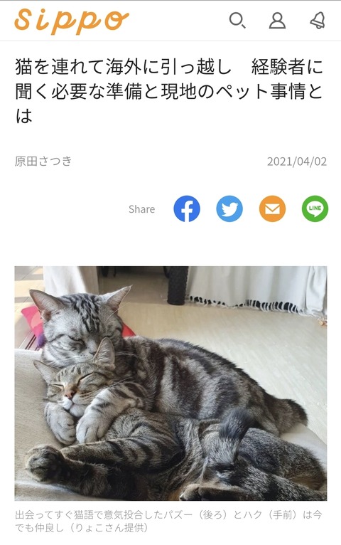 Screenshot_20210404-083113_Chrome