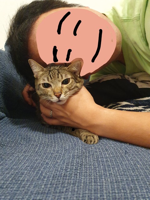 19-11-23-09-02-27-905_deco