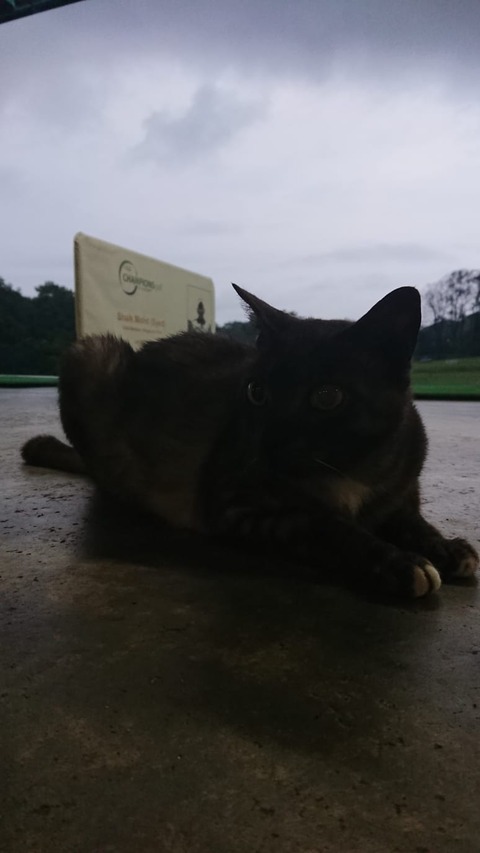 IMG-20190427-WA0002