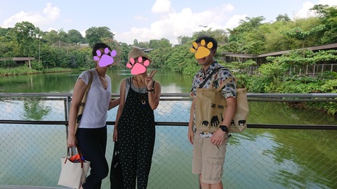 19-01-11-10-37-27-929_deco