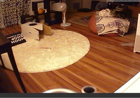 {314CDFF3-B98D-4715-BEDD-22606A7B0715:01}