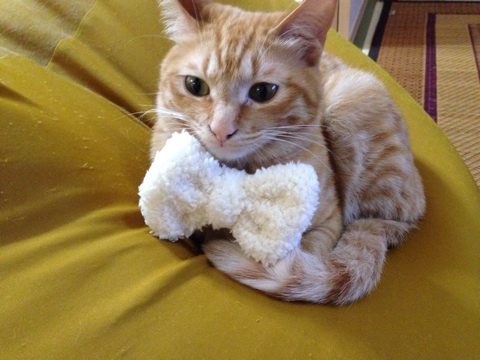 {4274102F-3930-49A9-AB03-25DC43C61C01:01}