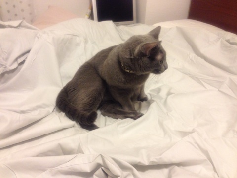 {890DF1D2-DD63-43FD-BC0F-349D957DC08D:01}