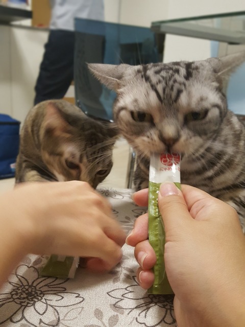 line_115797074074471