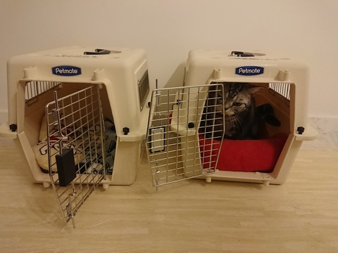 [画像:edaa81ed-s.jpg]