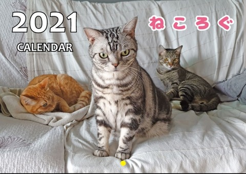 Screenshot_20201030-182109_Chrome