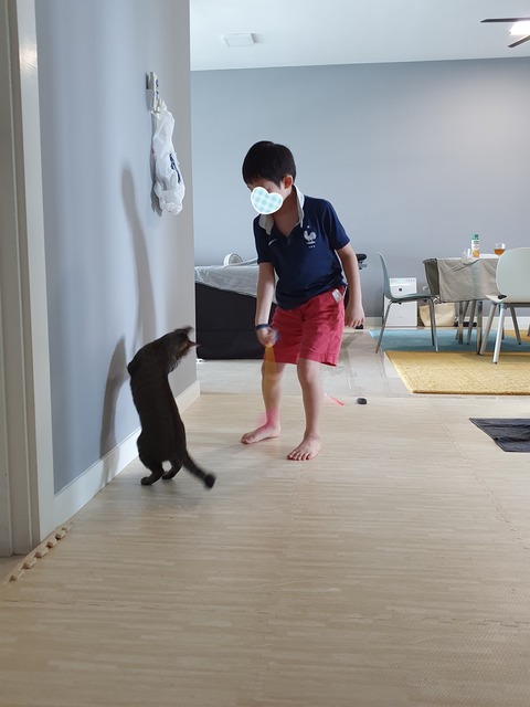 20-07-23-08-14-17-260_deco