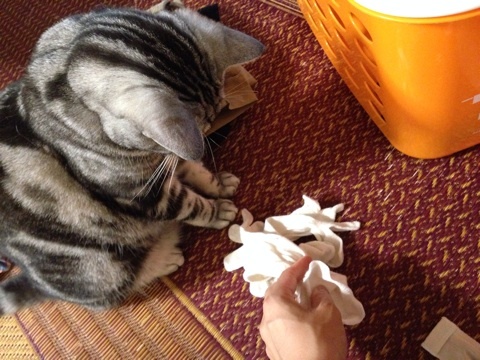 {1DB2DC8F-3BC0-42CB-AB05-E9E3DC785FCC:01}