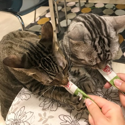 IMG_20181222_105746_719