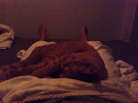 {8B8DC597-720F-4828-9BF9-038F183428C3:01}