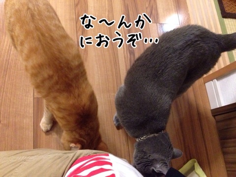 {0FEB673A-0CB3-4C03-8725-D790B1EDA701:01}