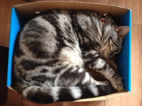 {23DD1A02-32E7-4F6A-B0AC-46D164BEC27B:01}